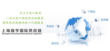 上海全套代理紙尿褲進(jìn)口通關(guān)及國(guó)內(nèi)貿(mào)易代理服務(wù)指南