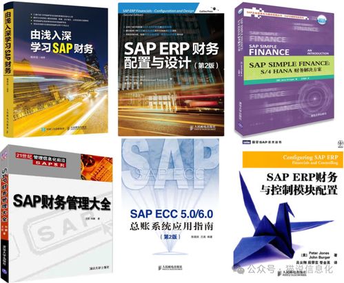 專業(yè)書視角下國內(nèi)外ERP軟件廠商的生態(tài)差異 以國內(nèi)貿(mào)易代理行業(yè)為例