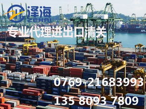 代理測量儀器進(jìn)口報(bào)關(guān)與國內(nèi)貿(mào)易代理綜合指南